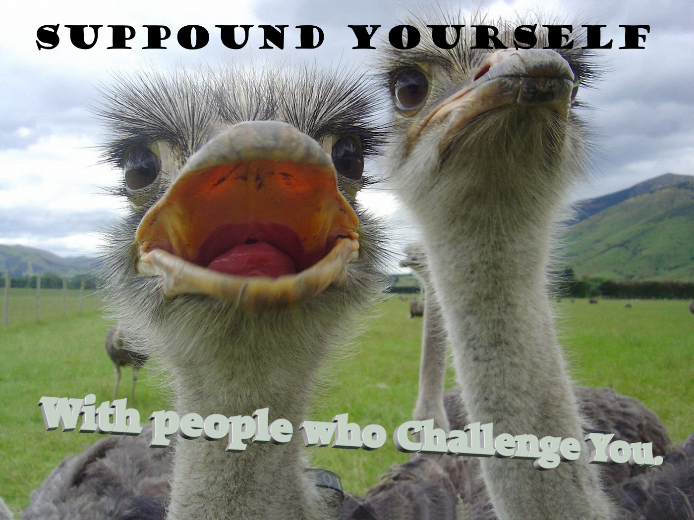 Surround Yourself