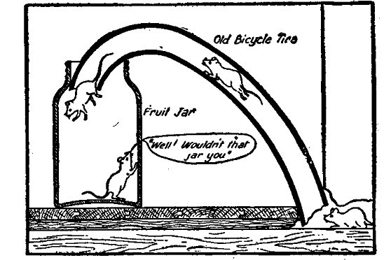 Rat Trap