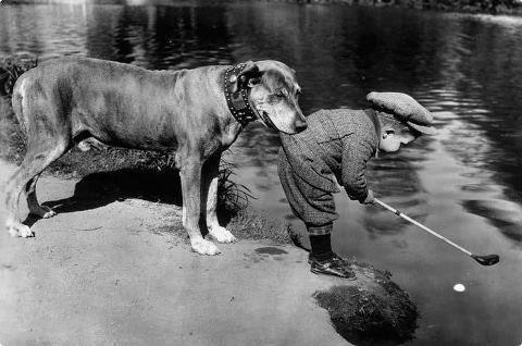 dog and boy