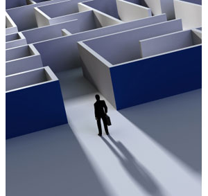 Business Maze